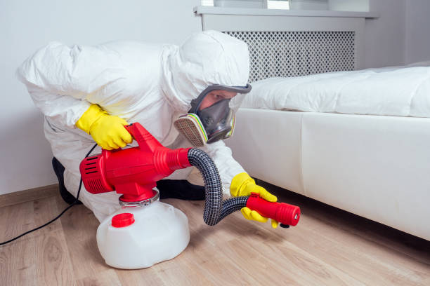 Best Residential Pest Control  in Valinda, CA